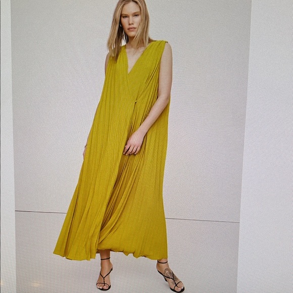 Banana Republic Antique Moss Green / Yellow Maxi Pleated Cape Dress - Picture 3 of 5